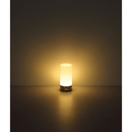 Globo - LED RGBW Stmívatelná dotyková venkovní stolní lampa LED/1,8W/5V 1500 mAh IP44 matný chrom
