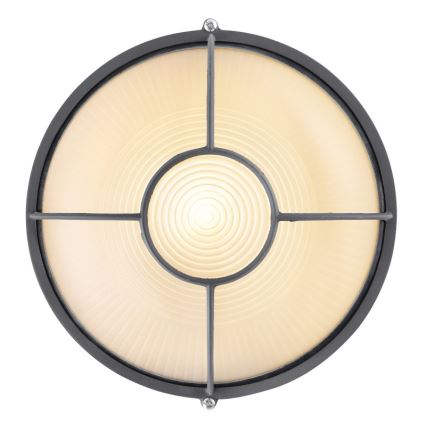 Globo - Venkovní nástěnné svítidlo 1xE27/60W/230V IP44 pr. 25 cm