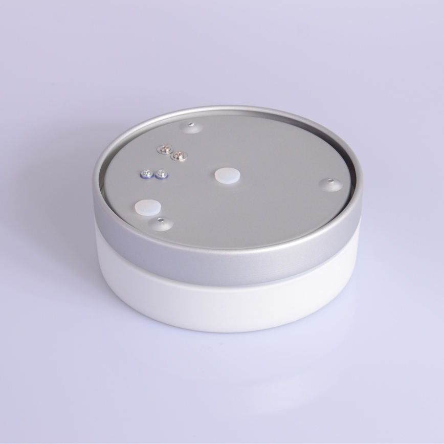 Globo - Koupelnové svítidlo 1xE27/60W/230V pr. 18,4 cm IP44