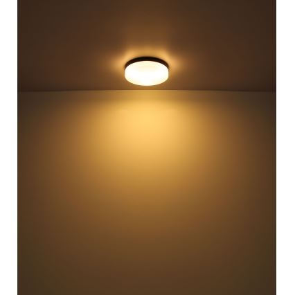 Globo - Koupelnové svítidlo 1xE27/60W/230V pr. 18,4 cm IP44