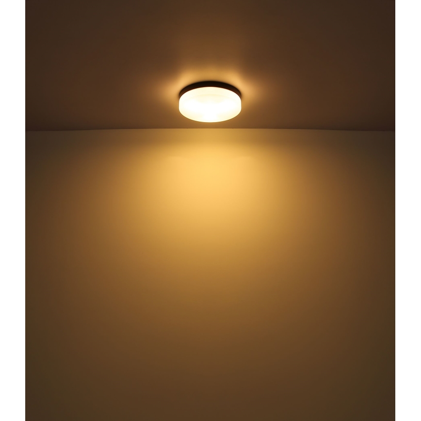 Globo - Koupelnové svítidlo 1xE27/60W/230V pr. 18,4 cm IP44