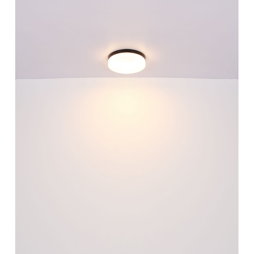 Globo - Koupelnové svítidlo 1xE27/60W/230V pr. 18,4 cm IP44