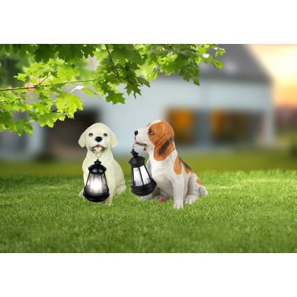 Globo - LED Solární svítidlo LED/0,06W/3V IP44 600 mAh