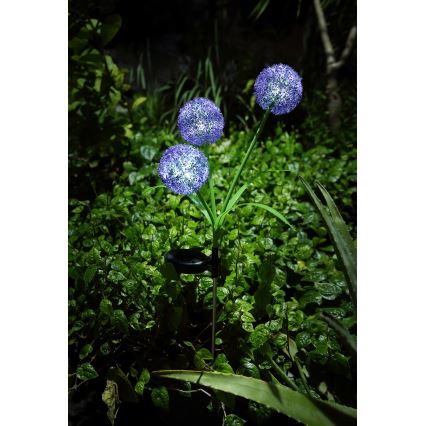 Globo - LED Solární svítidlo 3xLED/0,06W/3V 5000K IP44 fialová