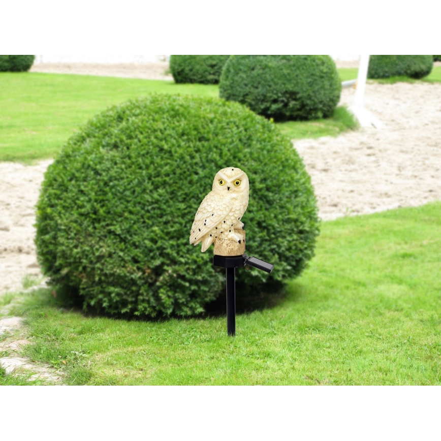 Globo - LED Solární svítidlo LED/0,06W/3V IP44 sova