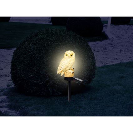 Globo - LED Solární svítidlo LED/0,06W/3V IP44 sova