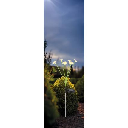Globo - LED Solární svítidlo 6xLED/3V IP44 600 mAh květina