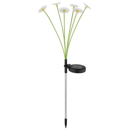 Globo - LED Solární svítidlo 6xLED/3V IP44 600 mAh květina