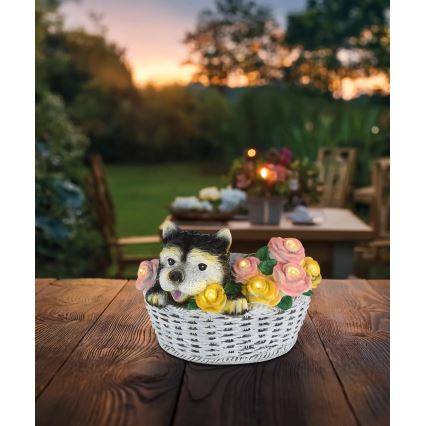 Globo - LED Solární svítidlo LED/1,2V IP44 300 mAh pes