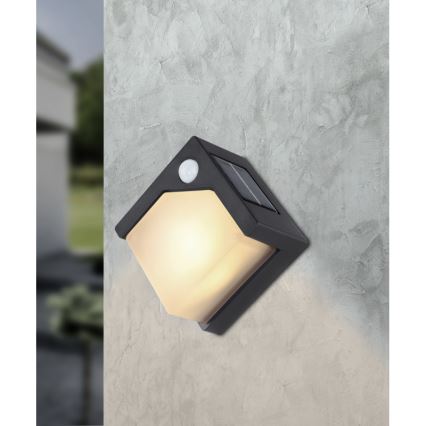 Globo - LED Solární svítidlo se senzorem LED/0,48W/3V IP44 600 mAh