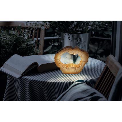 Globo - Solární svítidlo 10xLED/0,06W/1,2V 20,5 cm IP44
