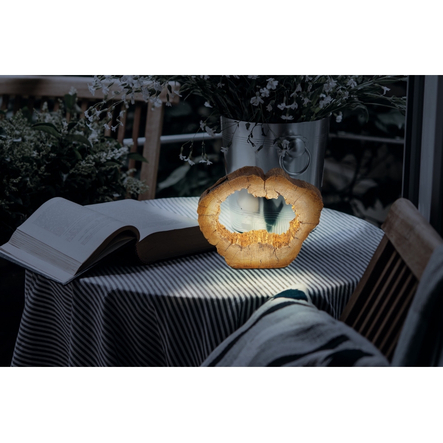 Globo - Solární svítidlo 10xLED/0,06W/1,2V 20,5 cm IP44