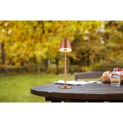 Globo - LED Solární svítidlo LED/0,6W/3V 3000K IP44 měděná