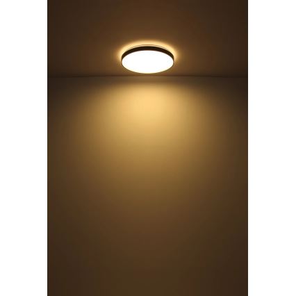 Globo - LED Stropní svítidlo LED/24W/230V pr. 48 cm antracit