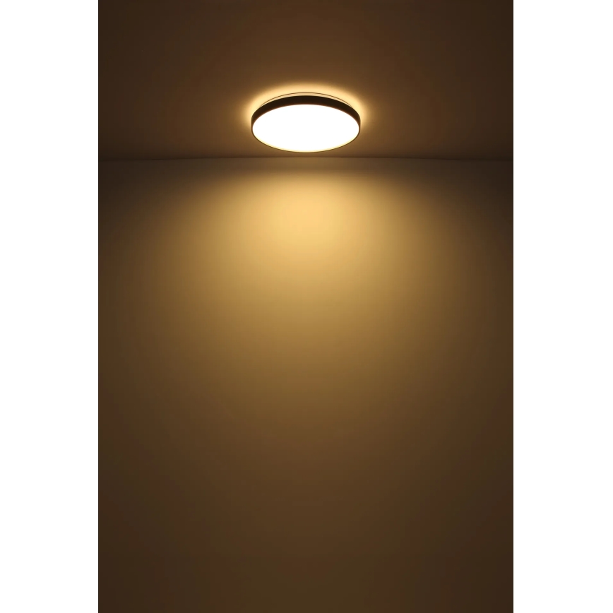 Globo - LED Stropní svítidlo LED/24W/230V pr. 48 cm antracit