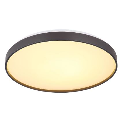 Globo - LED Stropní svítidlo LED/24W/230V pr. 48 cm antracit