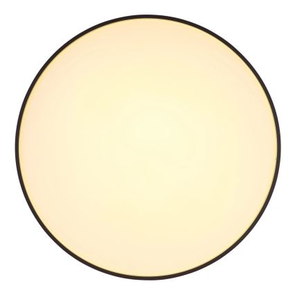 Globo - LED Stropní svítidlo LED/24W/230V pr. 48 cm antracit