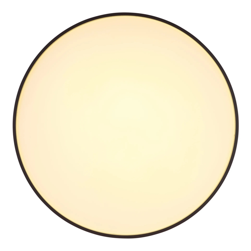 Globo - LED Stropní svítidlo LED/24W/230V pr. 48 cm antracit