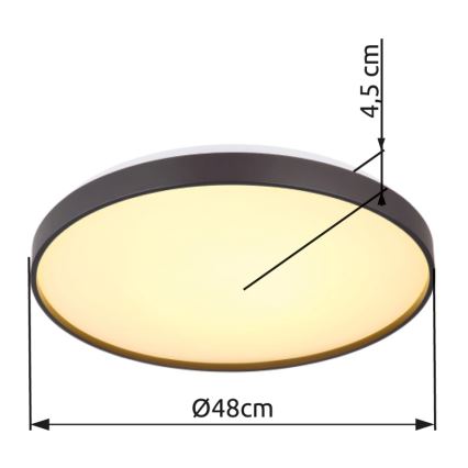 Globo - LED Stropní svítidlo LED/24W/230V pr. 48 cm antracit