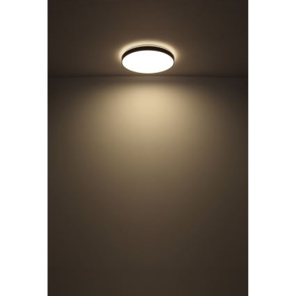 Globo - LED Stropní svítidlo LED/24W/230V