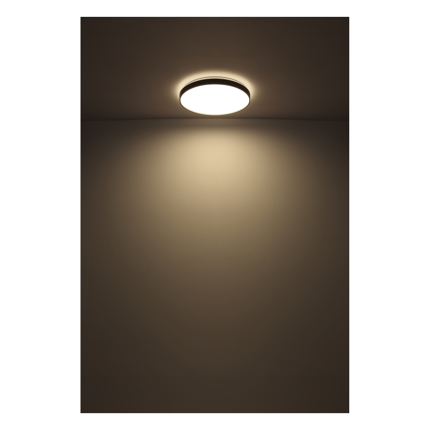 Globo - LED Stropní svítidlo LED/24W/230V