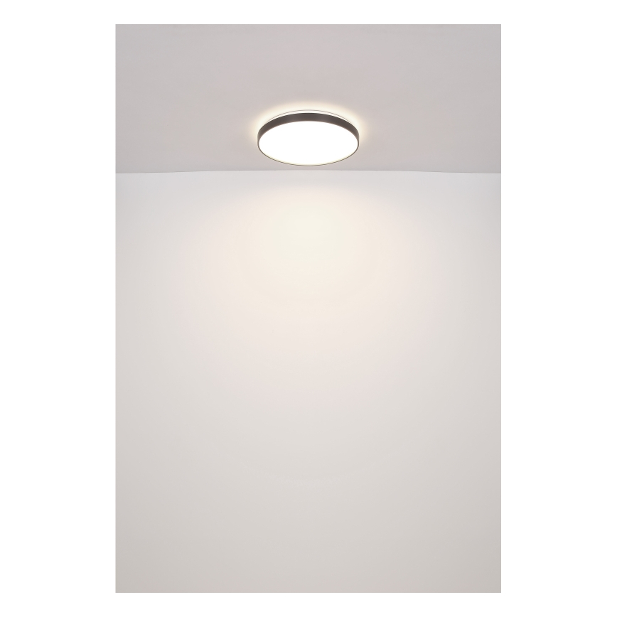 Globo - LED Stropní svítidlo LED/24W/230V