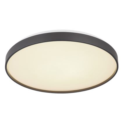 Globo - LED Stropní svítidlo LED/24W/230V