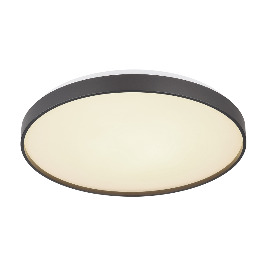 Globo - LED Stropní svítidlo LED/24W/230V