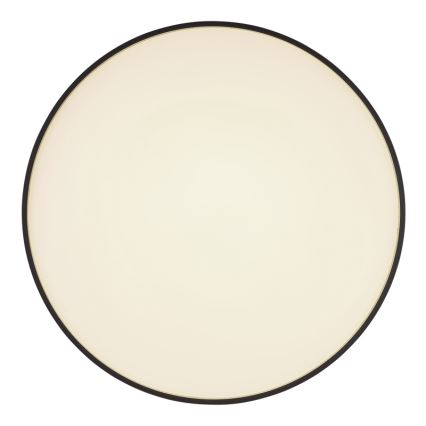 Globo - LED Stropní svítidlo LED/24W/230V