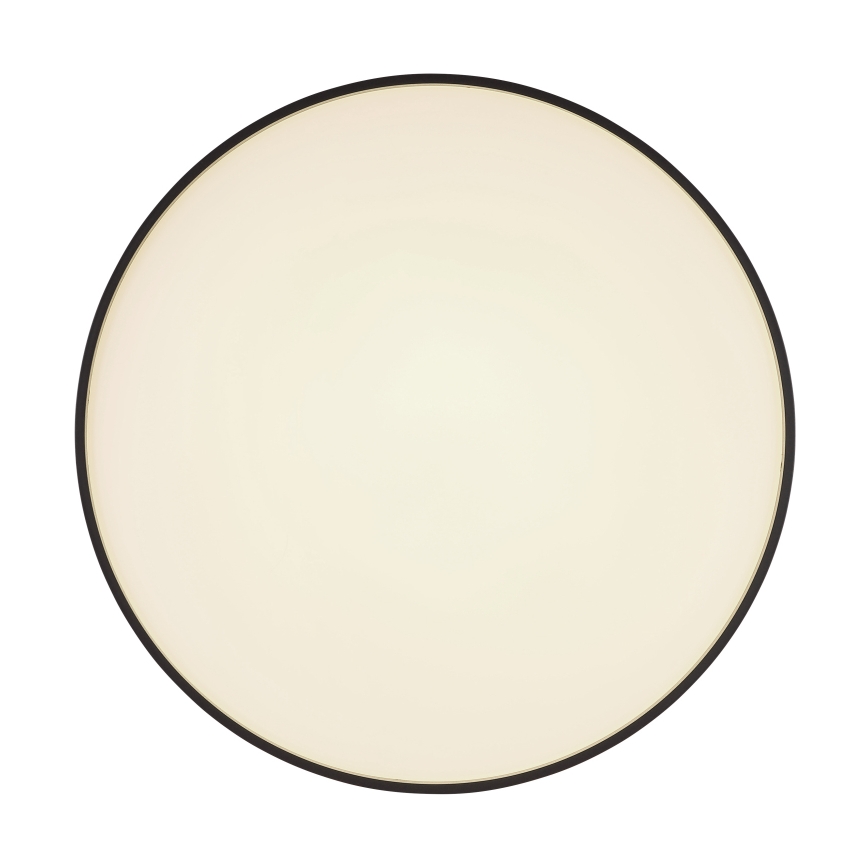 Globo - LED Stropní svítidlo LED/24W/230V