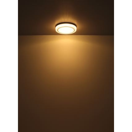Globo - LED Stropní svítidlo LED/24W/230V pr. 40 cm 3000K bílá