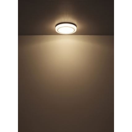 Globo - LED Stropní svítidlo LED/24W/230V pr. 40 cm 4000K bílá