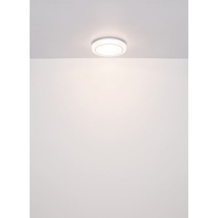 Globo - LED Stropní svítidlo LED/24W/230V pr. 40 cm 4000K bílá