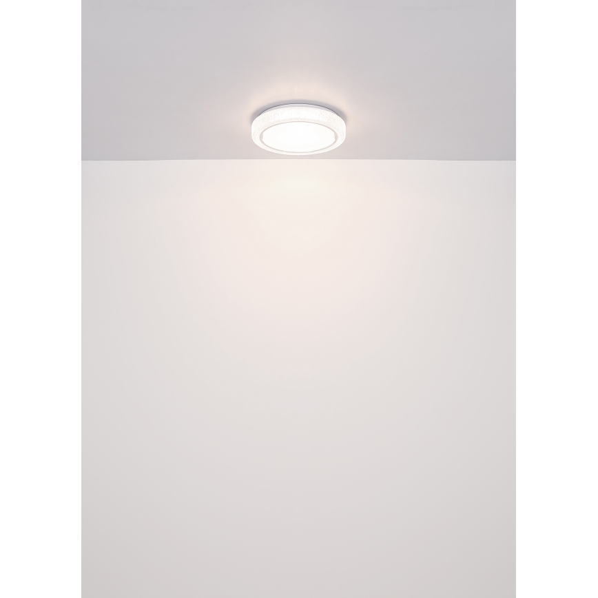 Globo - LED Stropní svítidlo LED/24W/230V pr. 40 cm 4000K bílá