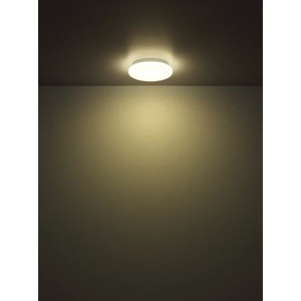 Globo - LED Stropní svítidlo LED/8W/230V 4000K pr. 22 cm