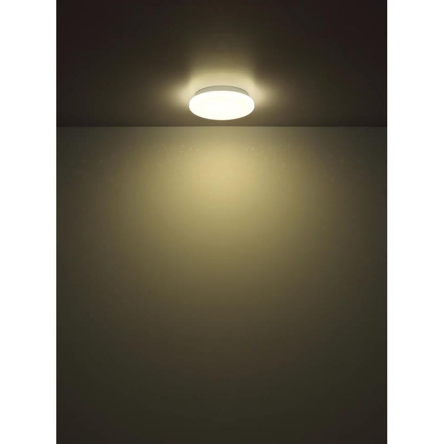 Globo - LED Stropní svítidlo LED/8W/230V 4000K pr. 22 cm