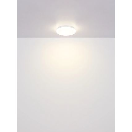 Globo - LED Stropní svítidlo LED/8W/230V 4000K pr. 22 cm