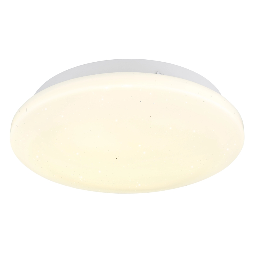 Globo - LED Stropní svítidlo LED/8W/230V 4000K pr. 22 cm
