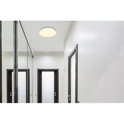 Globo - LED Stropní svítidlo LED/8W/230V 4000K pr. 55 cm