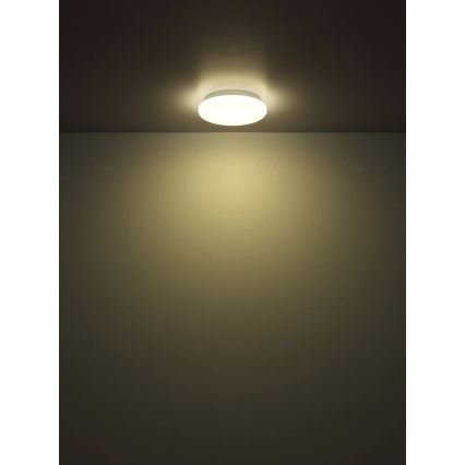 Globo - LED Stropní svítidlo LED/8W/230V 4000K pr. 55 cm