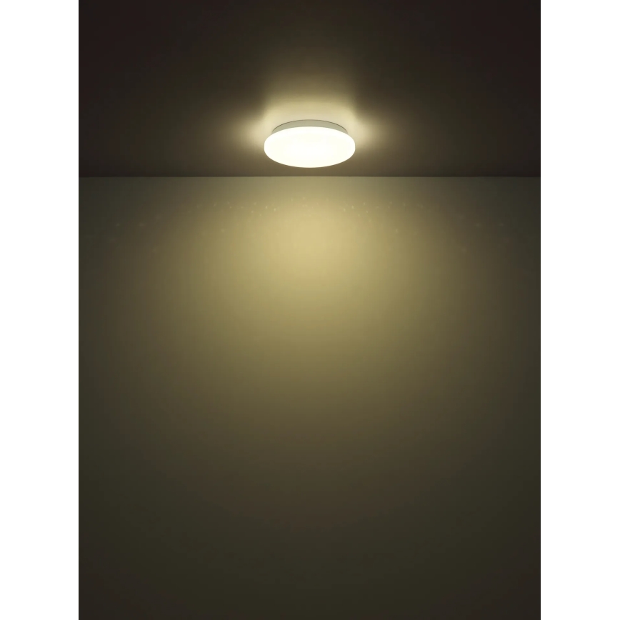 Globo - LED Stropní svítidlo LED/8W/230V 4000K pr. 55 cm
