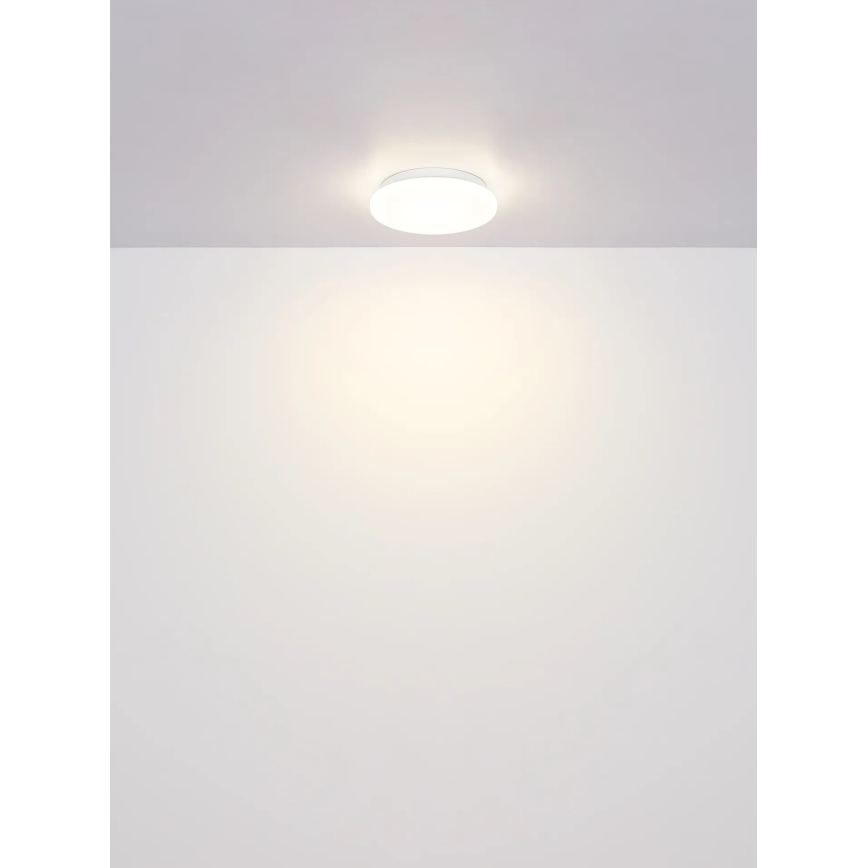 Globo - LED Stropní svítidlo LED/8W/230V 4000K pr. 55 cm