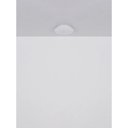 Globo - LED Stropní svítidlo LED/8W/230V 4000K pr. 55 cm