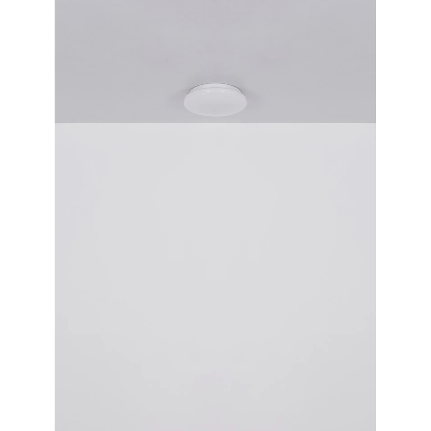 Globo - LED Stropní svítidlo LED/8W/230V 4000K pr. 55 cm