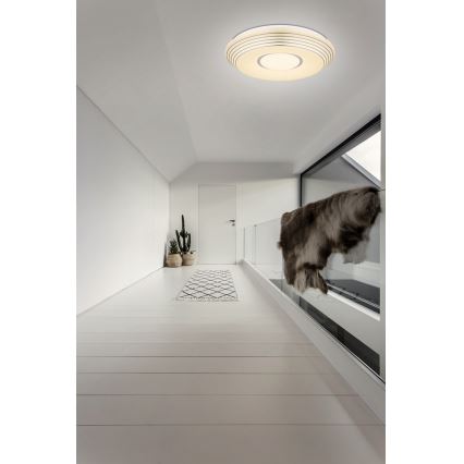 Globo - LED Stmívatelné stropní svítidlo LED/40W/230V + dálkové ovládání