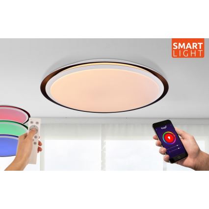 Globo - LED Stmívatelné stropní svítidlo LED/40W/230V + dálkové ovládání