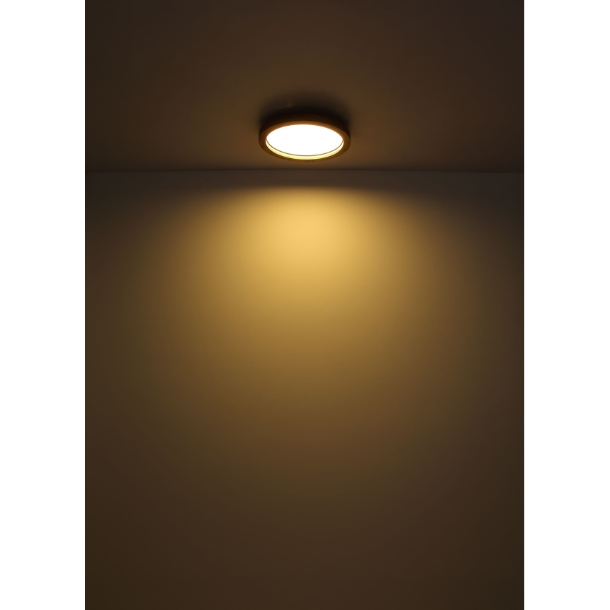 Globo - LED RGBW Stmívatelné stropní svítidlo LED/24W/230V 2700-6000K + dálkové ovládání