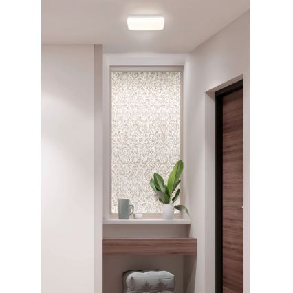 Globo - LED Stropní svítidlo LED/12W/230V 3000/4200/6500K 28,5x13,5 cm