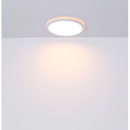 Globo - LED Stmívatelné koupelnové stropní svítidlo LED/18W/230V pr. 29,4 cm IP44 bílá