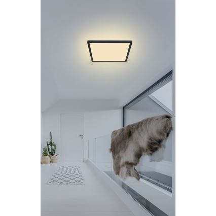 Globo - LED Stmívatelné koupelnové stropní svítidlo LED/18W/230V 29,4x29,4 cm IP44 černá